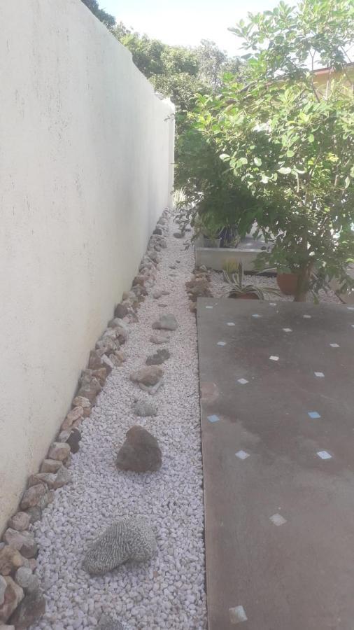 וילמסטאד Happy Turtle Apartments מראה חיצוני תמונה