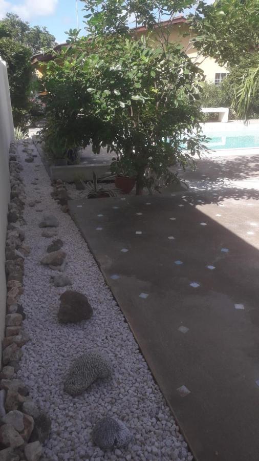 וילמסטאד Happy Turtle Apartments מראה חיצוני תמונה