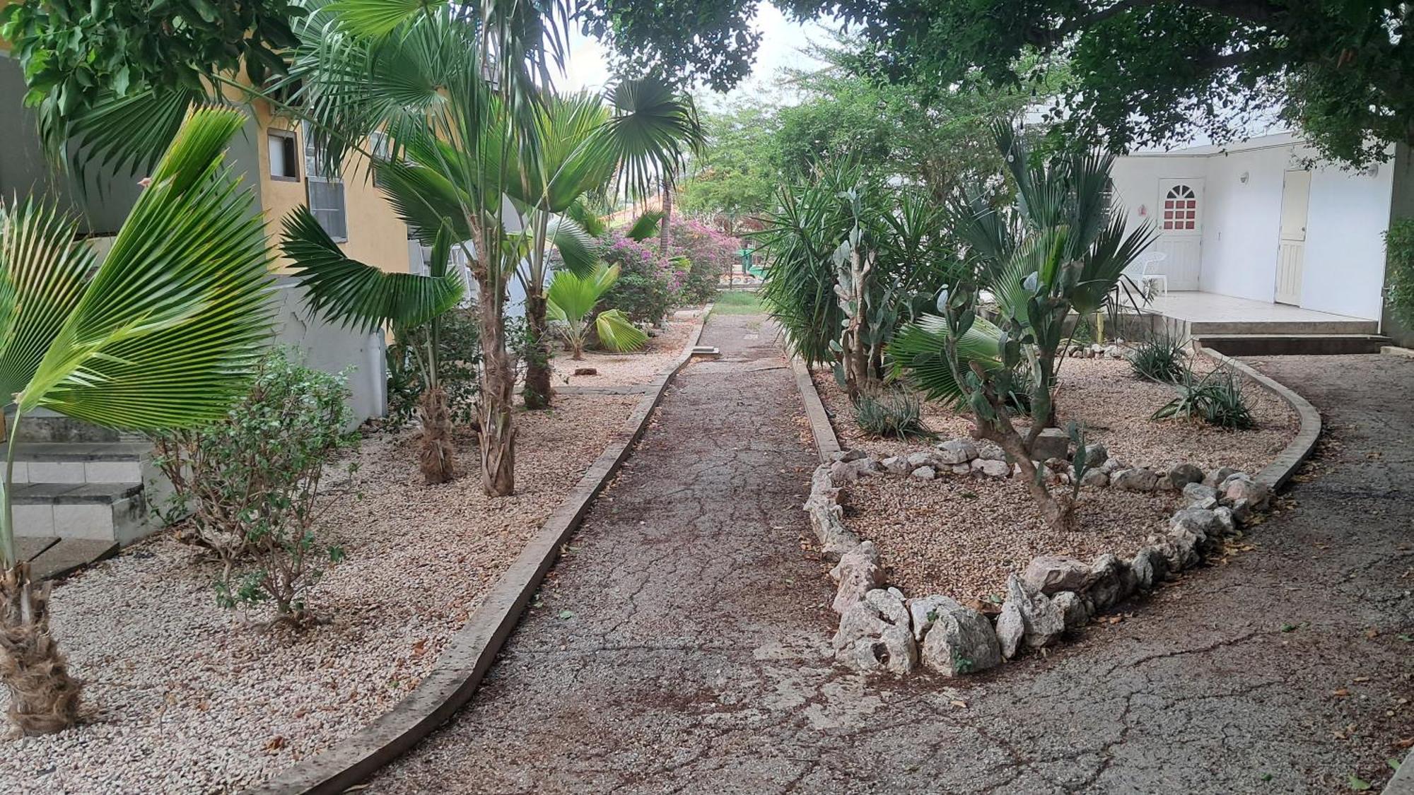 וילמסטאד Happy Turtle Apartments מראה חיצוני תמונה